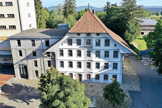 Alte Mühle Langenthal (Restaurant) - Langenthal