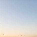 Photo n°2 de l'avis de Fiorella.o fait le 03/10/2023 à 13:36 sur le  Bar Capo Bianco à Portoferraio