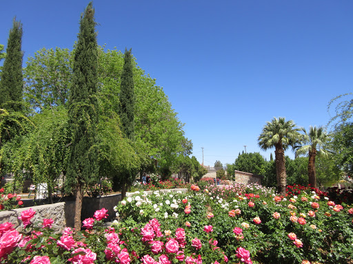 El Paso Municipal Rose Garden image 2