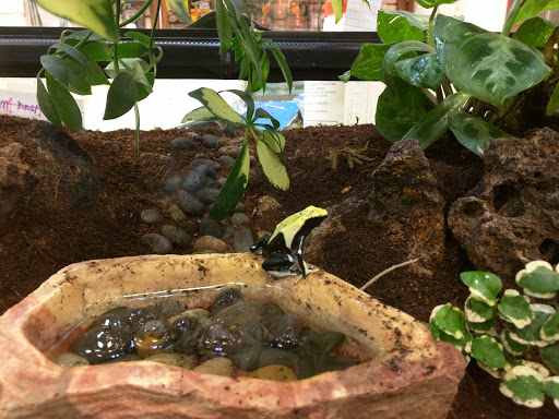 Pet Store «Animal Ark», reviews and photos, 175 S 500 E St, American Fork, UT 84003, USA