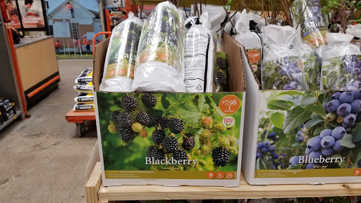 Home Improvement Store «The Home Depot», reviews and photos, 902 Murray Rd, East Hanover, NJ 07936, USA