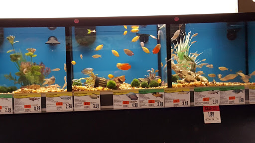 Pet Supply Store «Petco Animal Supplies», reviews and photos, 6418 S Staples St b, Corpus Christi, TX 78413, USA