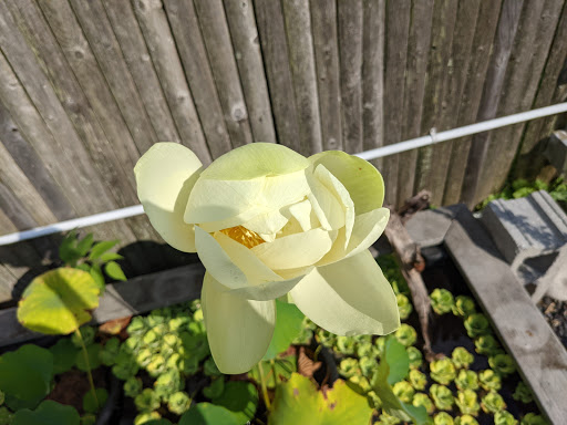 Pet Store «Fins Feathers Paws & Claws», reviews and photos, 436 Main St, Harleysville, PA 19438, USA