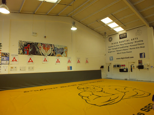 SBG Ireland HQ - Dublin BJJ & MMA