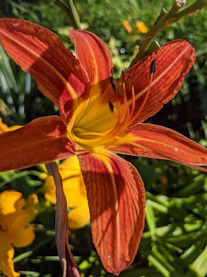 Winding Creek Park - photo 16