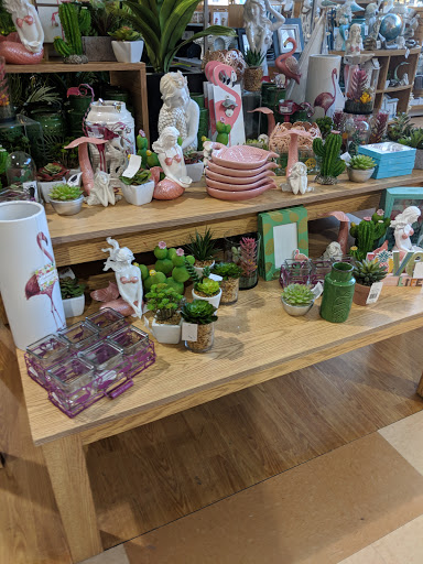 Department Store «Bealls Store», reviews and photos, 3140 Tampa Rd, Oldsmar, FL 34677, USA