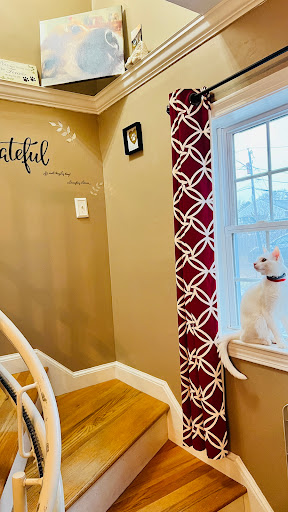 Painter «CertaPro Painters of Boston/South Shore», reviews and photos, 222 Weymouth St #6, Rockland, MA 02370, USA