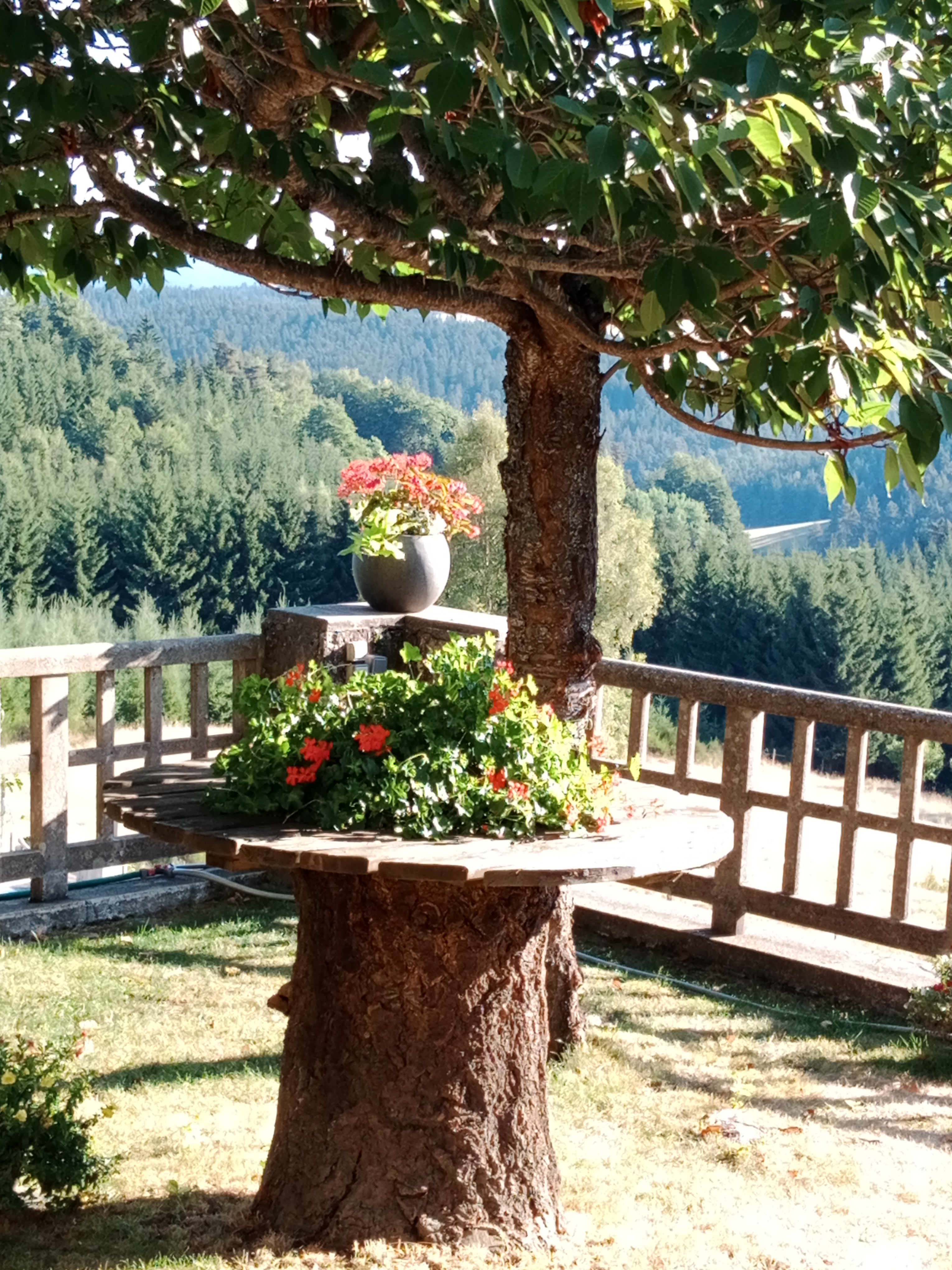 Photo n° 1 de l'avis de GARNIER.a fait le 14/08/2022 à 07:45