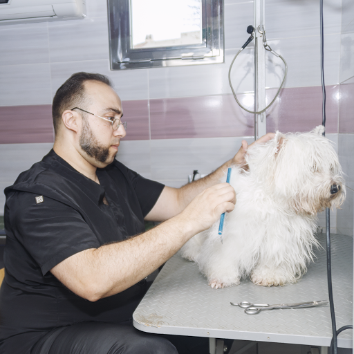 Integral Vpro Centro Veterinario en Aguadulce