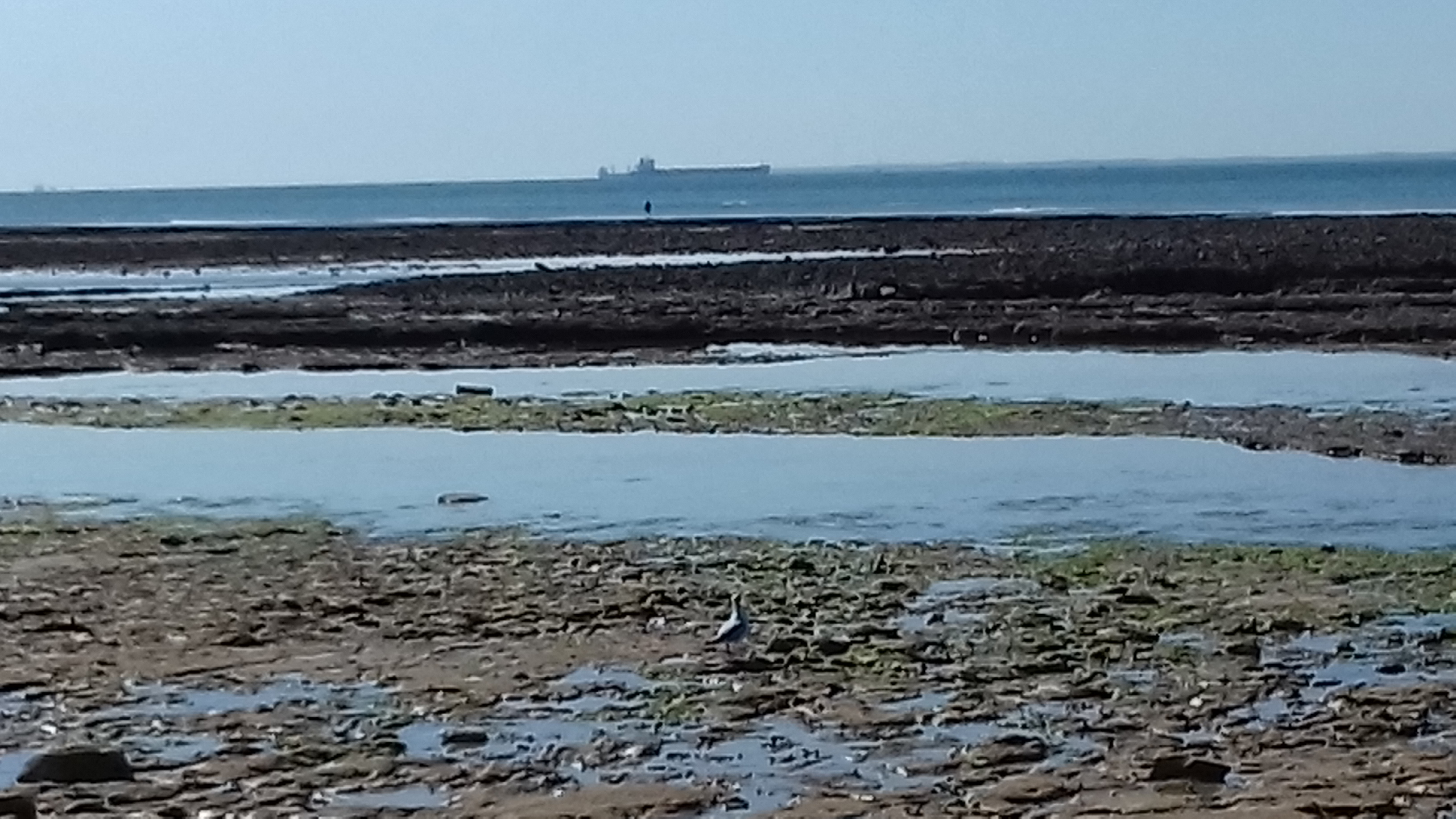 Photo n° 13 de l'avis de J.L fait le 10/09/2018 à 06:42