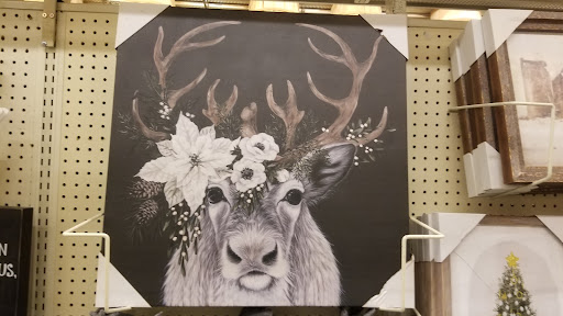 Craft Store «Hobby Lobby», reviews and photos, 5425 S Padre Island Dr #136b, Corpus Christi, TX 78411, USA