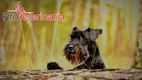 Cabinet veterinar Proveterinaria Oradea