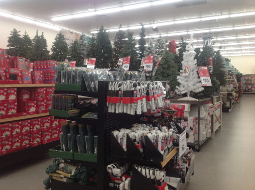 Discount Store «Big Lots», reviews and photos, 14537 W Grand Ave #200, Surprise, AZ 85374, USA