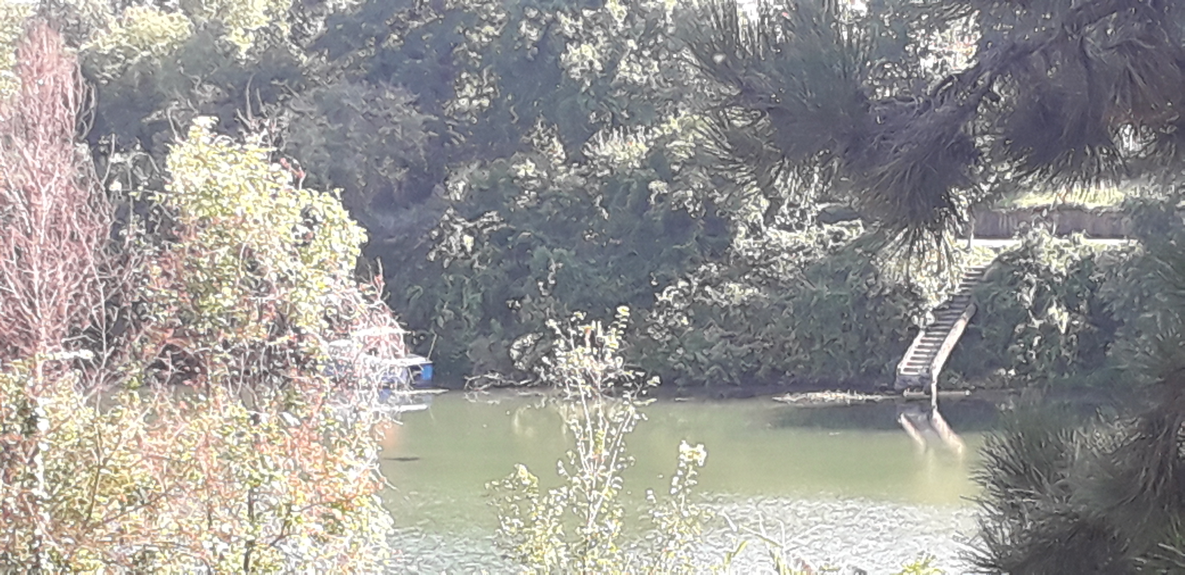 Photo n° 17 de l'avis de Dalila.C fait le 26/08/2019 à 20:04