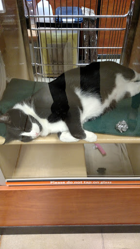 Pet Supply Store «PetSmart», reviews and photos, 948 Springfield Rd, Union, NJ 07083, USA