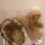 Photo n°4 de l'avis de Marco.a fait le 26/12/2021 à 14:11 sur le  Ristorante Al Viandante Di Ceccarello Eleonora à Villadose