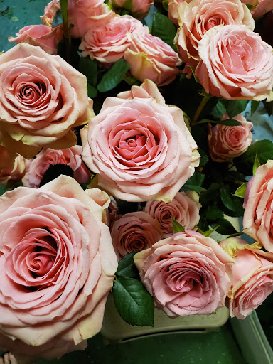 Florist «Shananne Cain Florist Inc», reviews and photos, 123 N Central Ave, Umatilla, FL 32784, USA