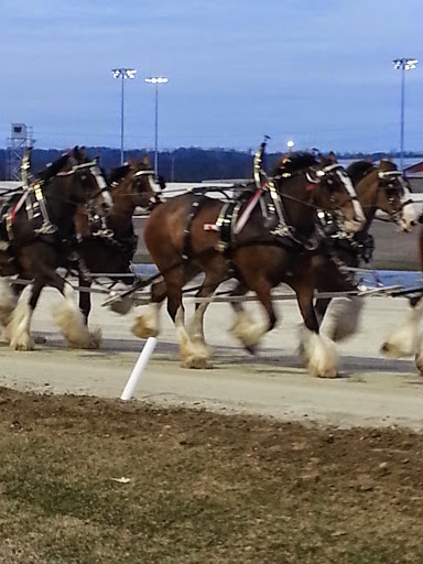 Casino «Miami Valley Gaming», reviews and photos, 6000 OH-63, Lebanon, OH 45036, USA