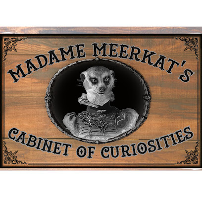 Madame Meerkat's Cabinet of Curiosities
