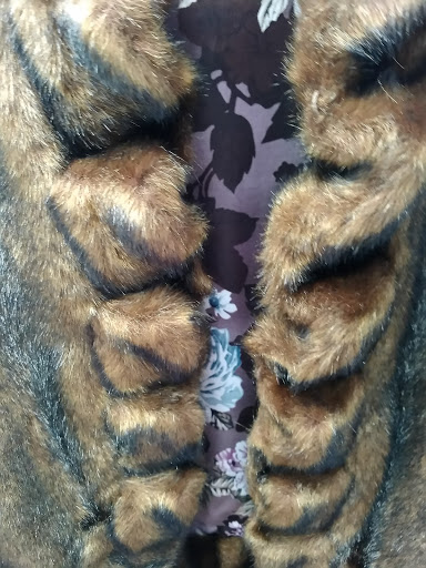 Thrift Store «Odds & Ends Thrift», reviews and photos, 3255 Davie Blvd, Fort Lauderdale, FL 33312, USA