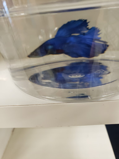 Pet Supply Store «Petco Animal Supplies», reviews and photos, 525 S 5th St, Bismarck, ND 58504, USA