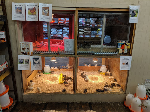 Pet Supply Store «Western Feed & Pet Supply», reviews and photos, 5935 Don Way, Carmichael, CA 95608, USA