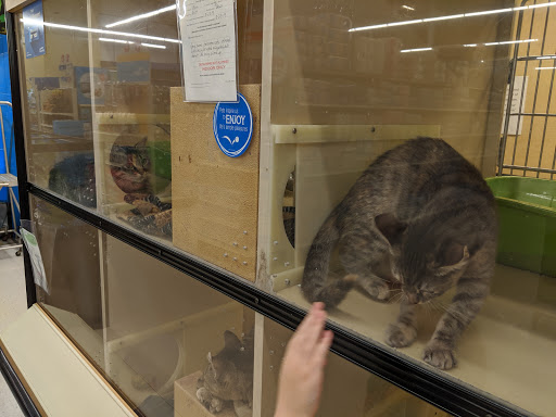 Pet Supply Store «PetSmart», reviews and photos, 7061 Youree Dr, Shreveport, LA 71105, USA