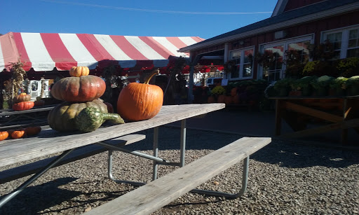 Farm «Alstede Farms», reviews and photos, 1 Alstede Farms Ln, Chester, NJ 07930, USA