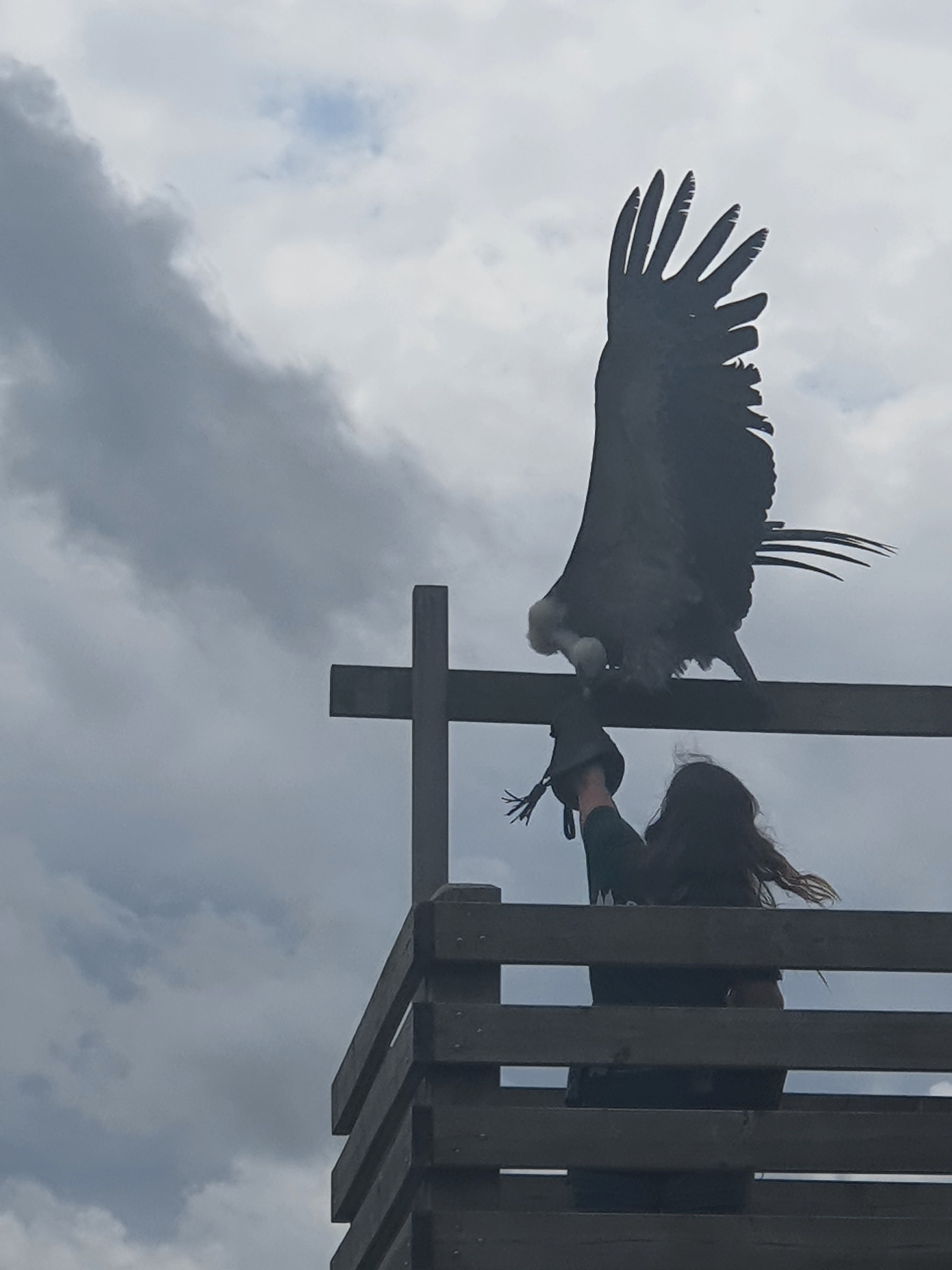 Photo n° 13 de l'avis de Mickael.e fait le 15/07/2023 à 13:18