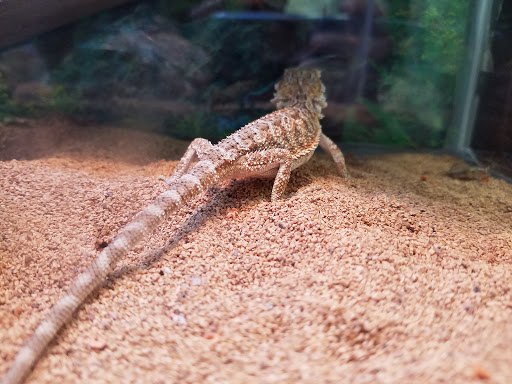 Pet Supply Store «Petland Discounts - Park Slope», reviews and photos, 510 5th Ave, Brooklyn, NY 11215, USA