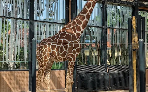 Giraffenpark image