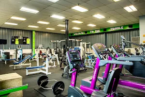 The Jungle Gym image