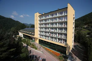 Hotel Solar Medical Spa Szczawnica image