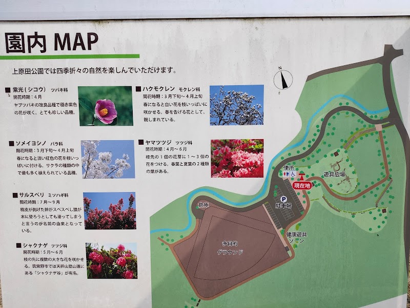 上原田公園 福岡県筑紫野市原田 公園 公園 グルコミ