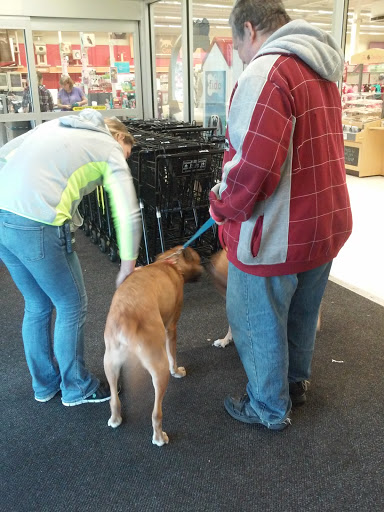 Pet Supply Store «Petco Animal Supplies», reviews and photos, 2131 Pleasant Hill Rd, Duluth, GA 30096, USA