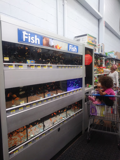 Department Store «Walmart Supercenter», reviews and photos, 101 Howland Blvd, Deltona, FL 32738, USA