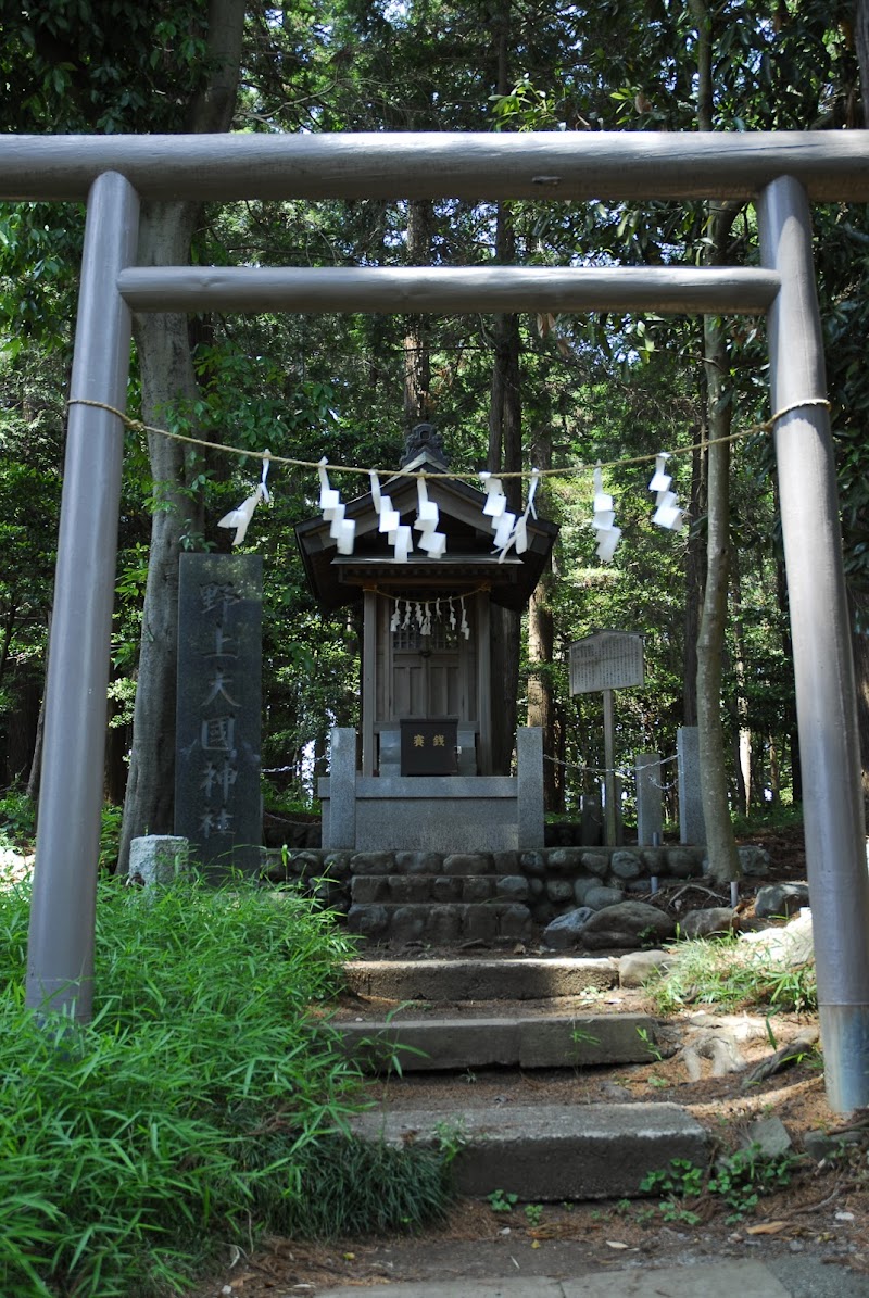 野上大國神社