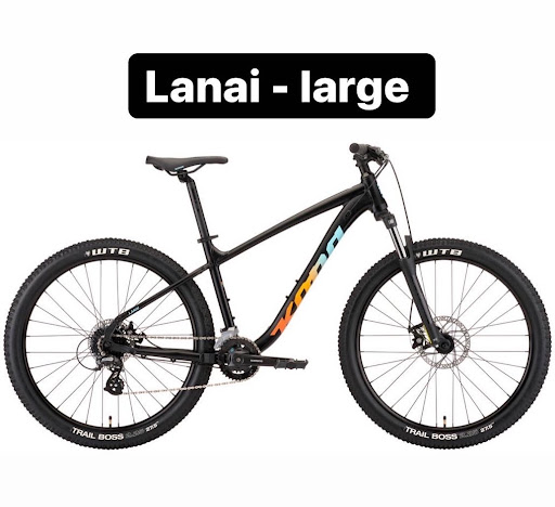 Bicycle Store «New England Bike & Scuba», reviews and photos, 526 College Hwy, Southwick, MA 01077, USA