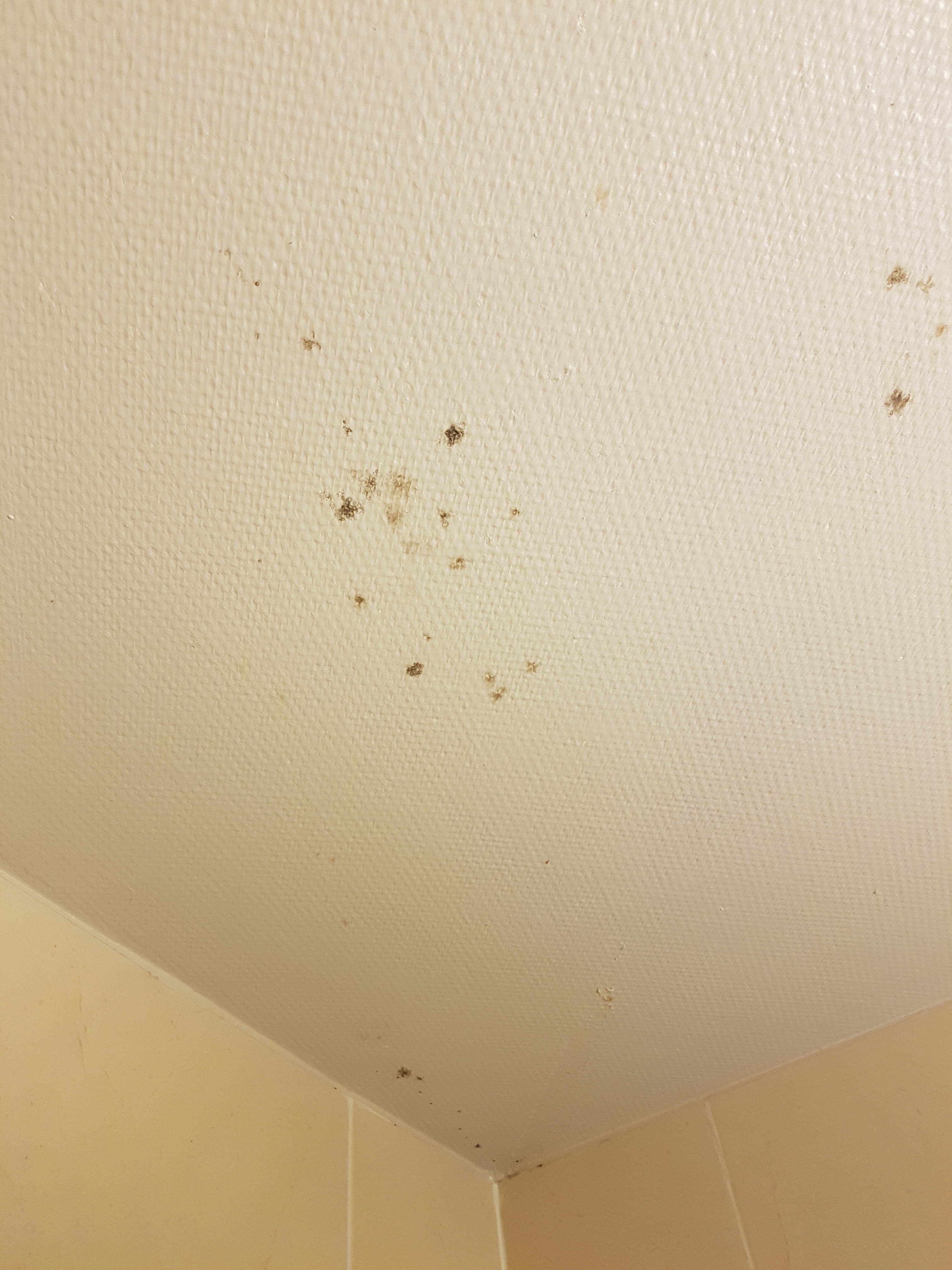 Photo n° 2 de l'avis de &xtrème.5 fait le 22/07/2019 à 06:35