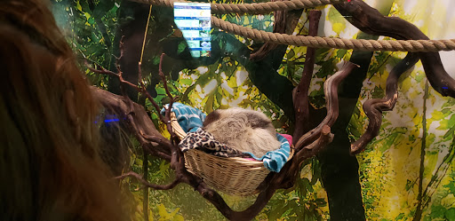 Tourist Attraction «OdySea Mirror Maze», reviews and photos, 9500 East Vía de Ventura #200, Scottsdale, AZ 85256, USA