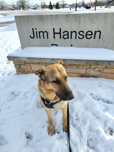 Park «Jim Hansen Park», reviews and photos, 338 Valley Forge Ave, South Elgin, IL 60177, USA