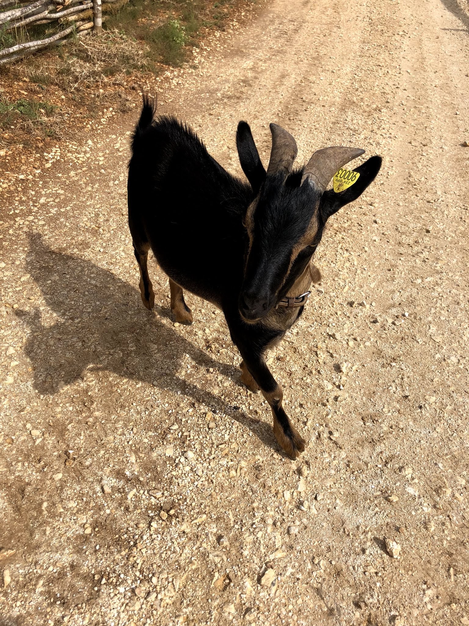 Photo n° 6 de l'avis de Izzie. fait le 26/07/2019 à 19:34