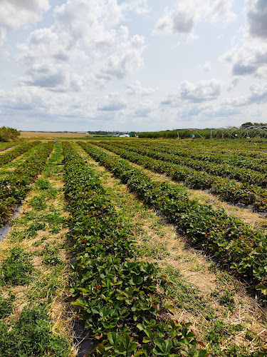 Magasin Cueillette de Bugnicourt - Distributeur de produits fermiers Bugnicourt