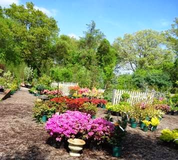 Garden Center «Town & Country Nurseries», reviews and photos, 1036 Saybrook Rd, Haddam, CT 06438, USA