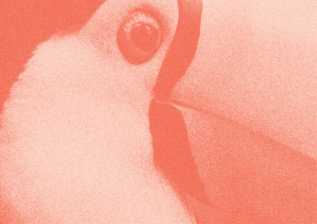 MAMASAMBA - Restaurant