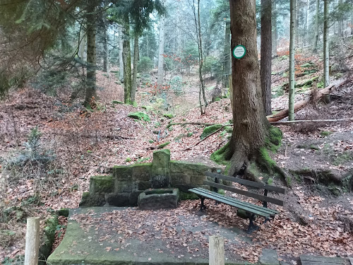 Goldbrunnen à Wangenbourg-Engenthal