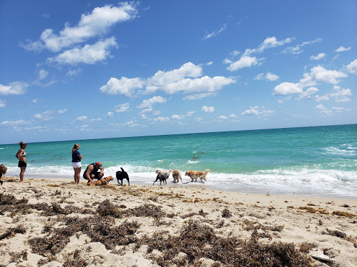 Park «Haulover Park», reviews and photos, 10800 Collins Ave, Miami Beach, FL 33154, USA