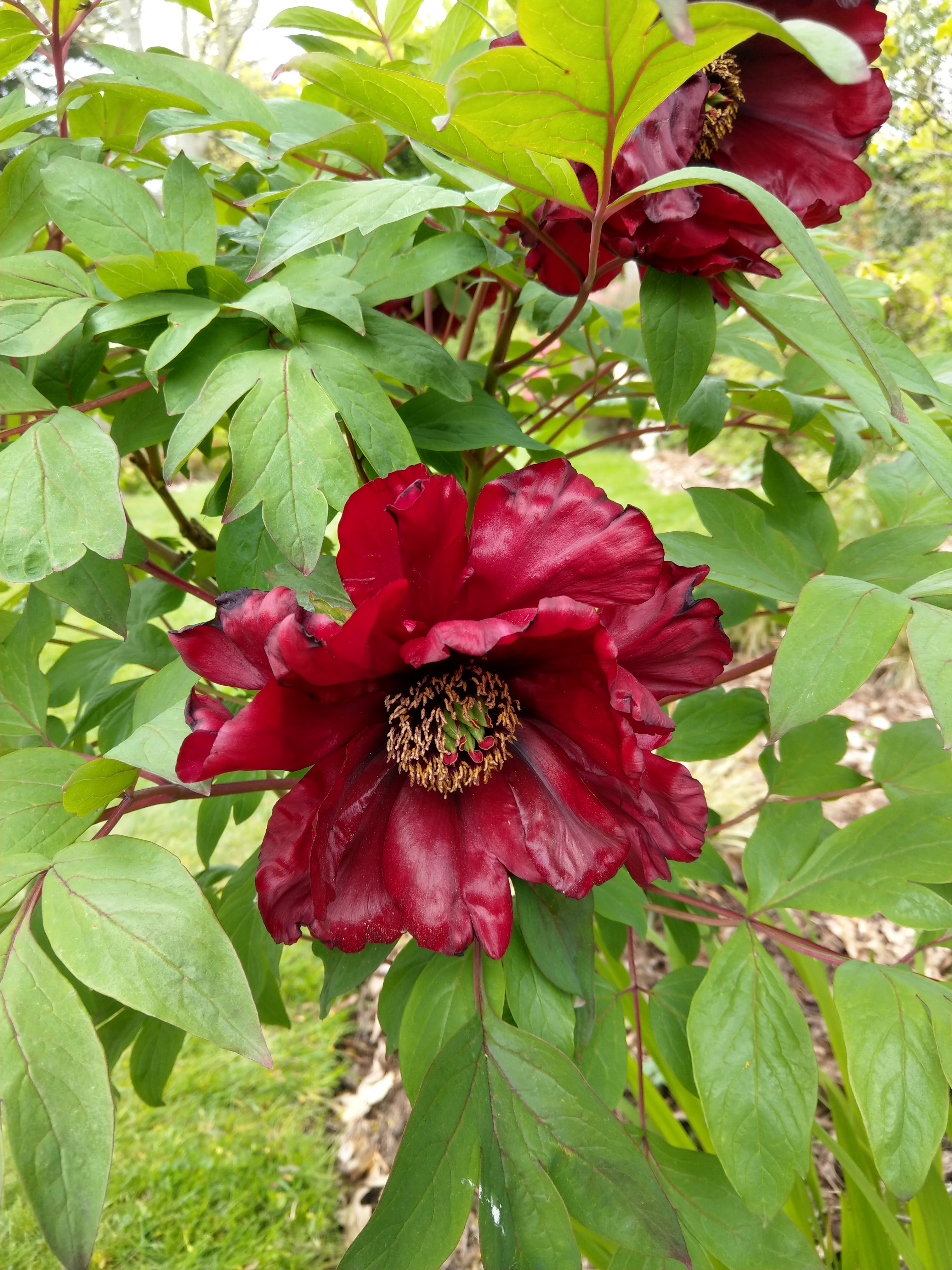 Photo n° 2 de l'avis de Françoise.A fait le 09/05/2021 à 19:38