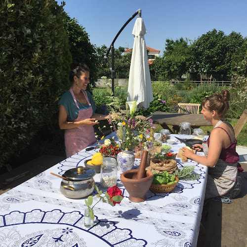 Avaliações doSwara Slow Living Home em Carregal do Sal - Aulas de Yoga