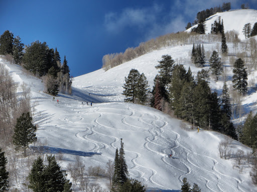 Real Estate Agency «Keller Williams Success Realty - Northern Utah Home Team», reviews and photos